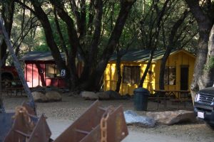 Cabins at roaring Camp