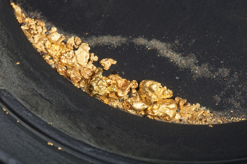 Digging for Treasure: Gold Prospecting
