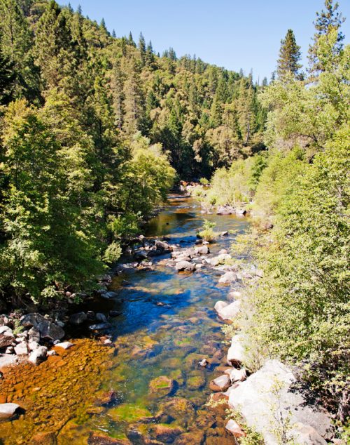 Mokelumne River from above Roaring Camp Gold