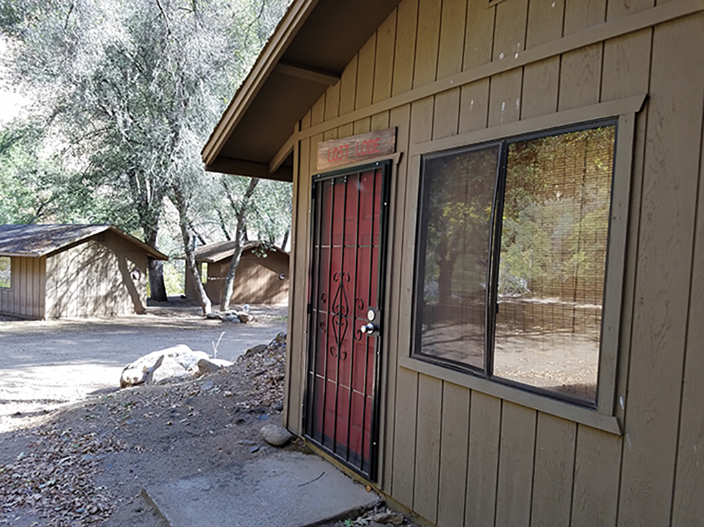 Digging for Treasure: Gold Prospecting - Roaring Camp Gold