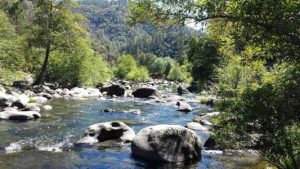 Mokelumne River