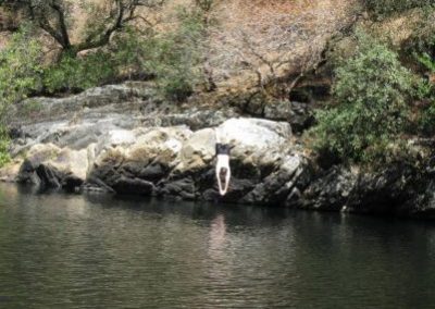 diving into swimming hole